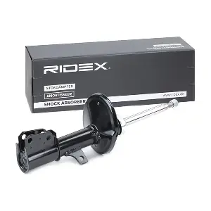 854S1239 RIDEX
