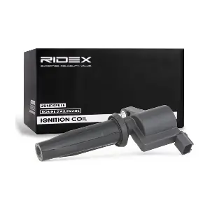 RIDEX 689C0034