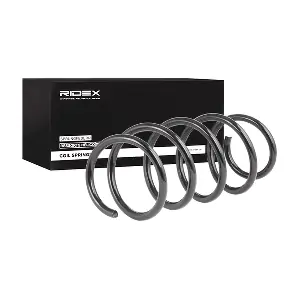 188C0071 RIDEX