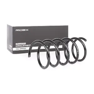 188C0041 RIDEX