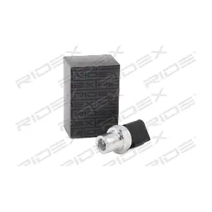 RIDEX 1360P0013