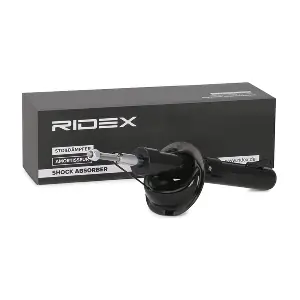RIDEX 854S0359