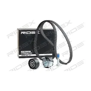 RIDEX 307T0119
