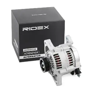 4G0848 RIDEX