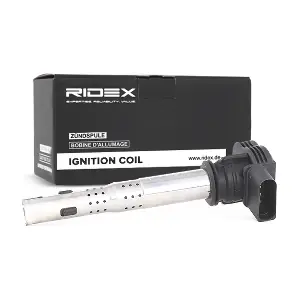 RIDEX 689C0019