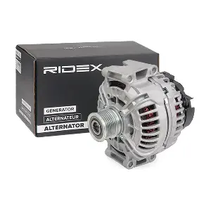 4G0134 RIDEX