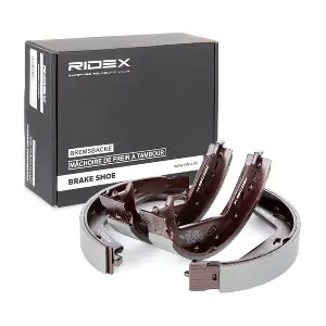 RIDEX 70B0078