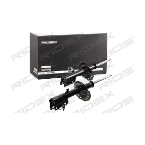 854S1683 RIDEX