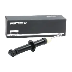 854S1099 RIDEX