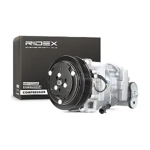 RIDEX 447K0034