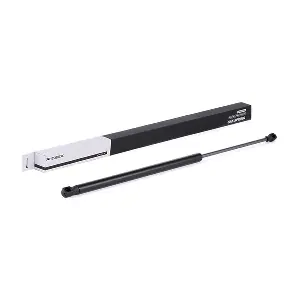 219G0243 RIDEX