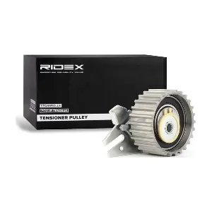 RIDEX 308T0042
