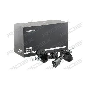 854S2599 RIDEX