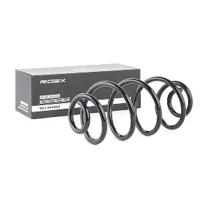 188C0161 RIDEX