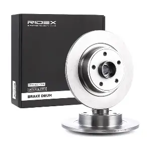 82B0431 RIDEX