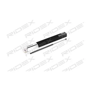 219G0480 RIDEX