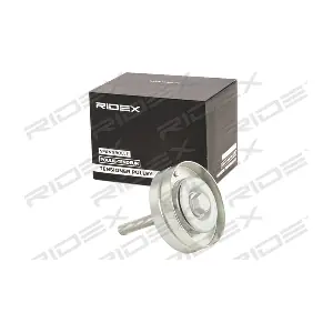 312D0099 RIDEX