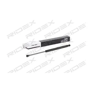 2454G0021 RIDEX