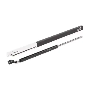 RIDEX 219G0424