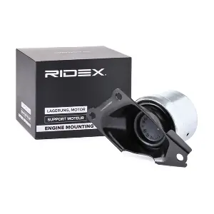 247E0329 RIDEX