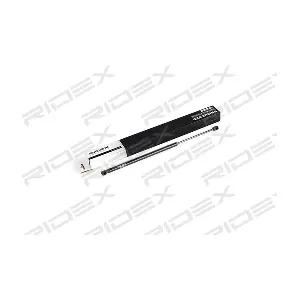219G0249 RIDEX