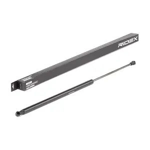 219G0800 RIDEX