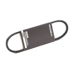 10C0054 RIDEX