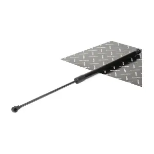 219G0209 RIDEX
