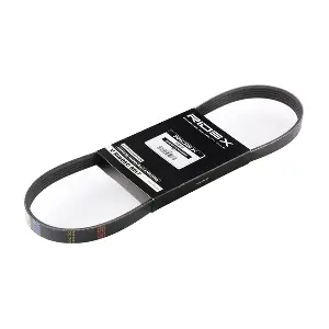 305P0210 RIDEX