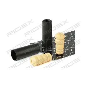 919D0081 RIDEX
