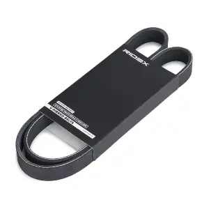 305P0534 RIDEX