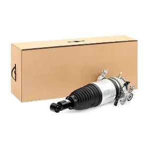 4118A0049 RIDEX
