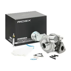 2234C0231 RIDEX