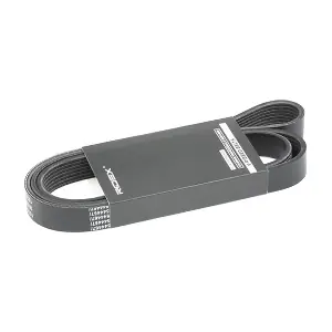 305P0492 RIDEX