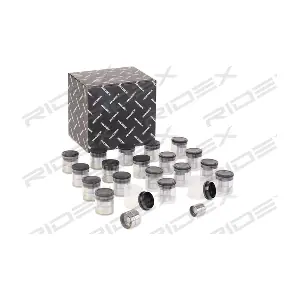 RIDEX 1216R0129