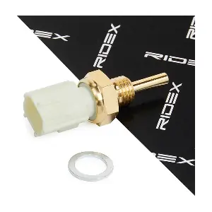 RIDEX 830C0031