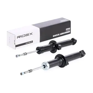 854S1910 RIDEX