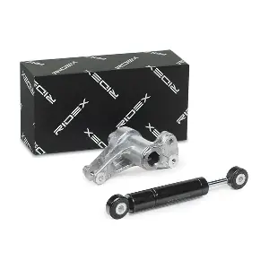 540T0025 RIDEX