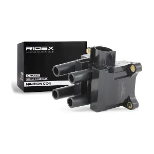 RIDEX 689C0007