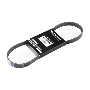 305P0207 RIDEX