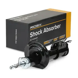 RIDEX 854S0829