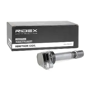 RIDEX 689C0206