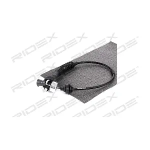 RIDEX 478S0053