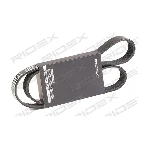 305P0383 RIDEX