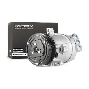 RIDEX 447K0123