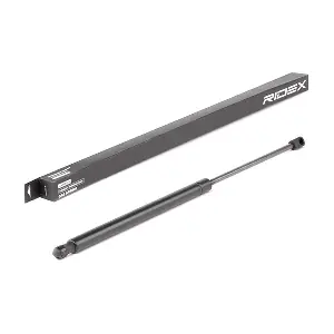 219G0838 RIDEX