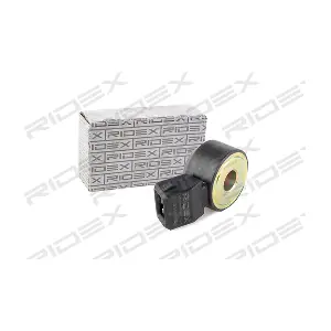 3921K0024 RIDEX