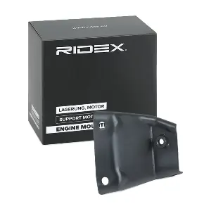 247E0753 RIDEX