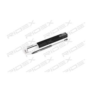 219G0245 RIDEX