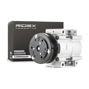 RIDEX 447K0154